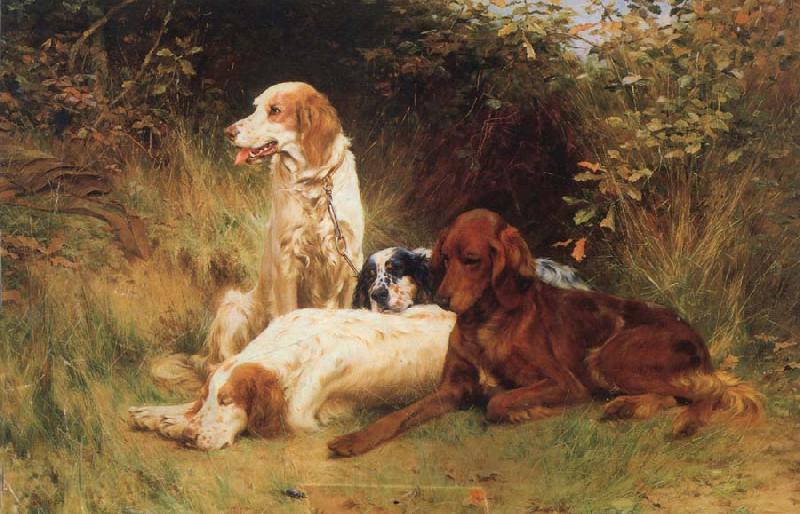 unknow artist Some Dogs